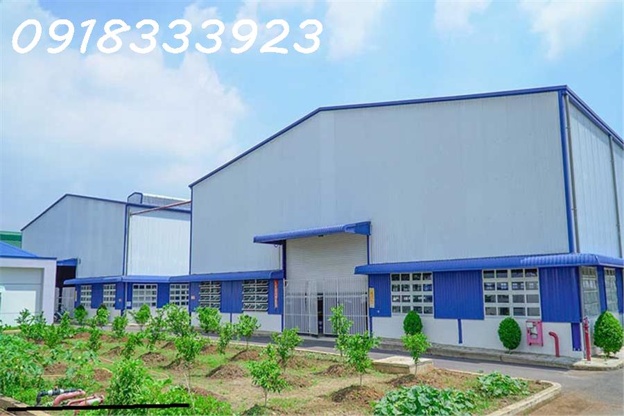 CẦN BÁN HOẶC CHO THUÊ NHÀ XƯỞNG BÌNH TÂN, ĐƯỜNG XE CONT, 1000M2 CHỈ 20 TỶ - Ảnh 1